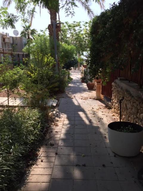הבית של דרורי 尼夫佐哈 外观 照片